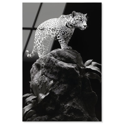 Phantom Feline I Acrylic Print Animal Art Prints by Notoriart, Ready to Hang, 16 x 24