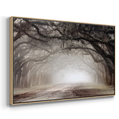 " Timeless Plantation Drive "