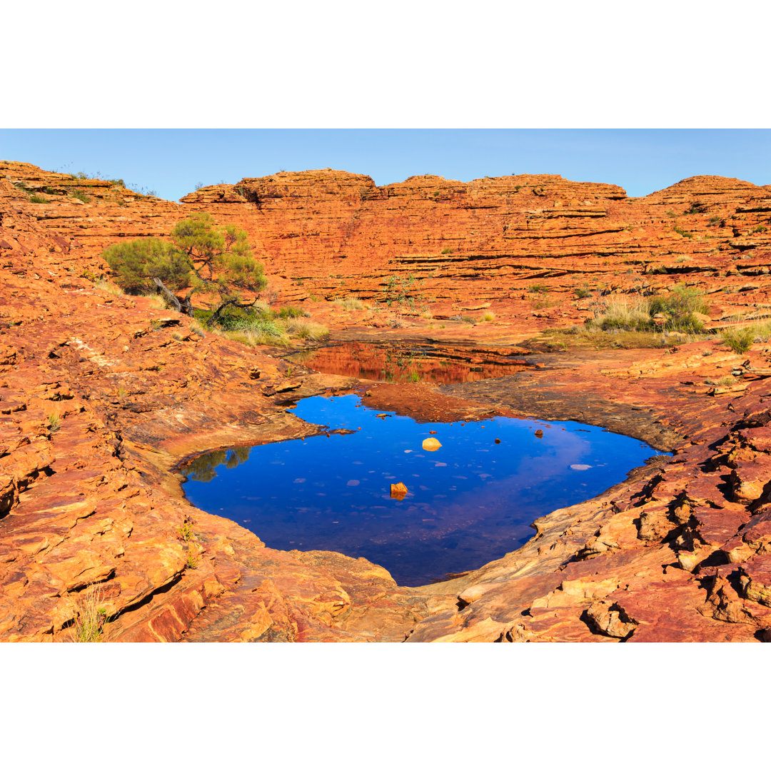 Kings Canyon Australien von Benedek - Druck