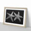 Two Starfish - Picture Frame Graphic Art Print-56734771-56734772
