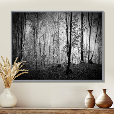 Beautiful Forest Morning Panorama - Print