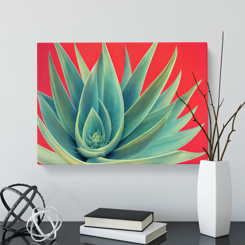 Spellbinding Aloe Vera Plant - Wrapped Canvas Painting, 35cm H x 50cm W x 3cm D