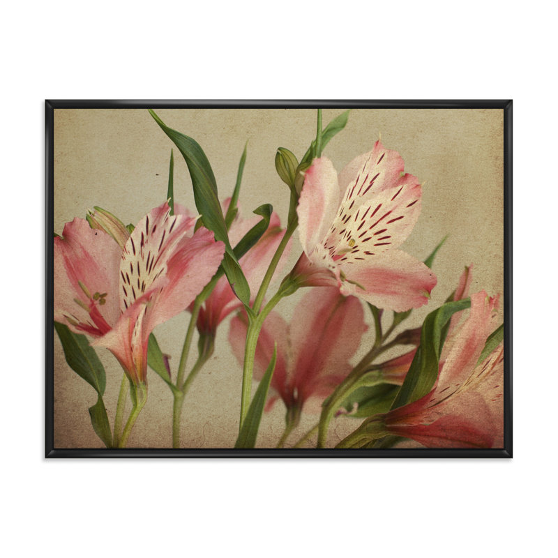 «Retro Alstroemeria Flower», impression sur toile, H 16 po x l 32 po x p 1 po, Toile avec cadre noir
