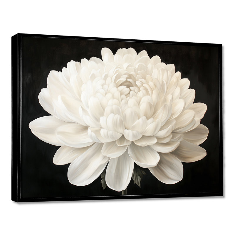 Fleur de pétales de neige - Tableau encadré sur toile représentant un chrysanthème, H 24 po x l 32 po, Cadre flottant noir