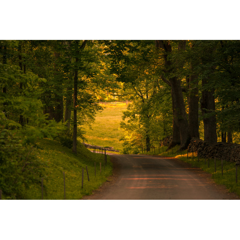 Beautiful Winding Country Road Shaded By Old Trees by XiFotos - No Frame Art Prints on Canvas, 51cm H x 76cm W