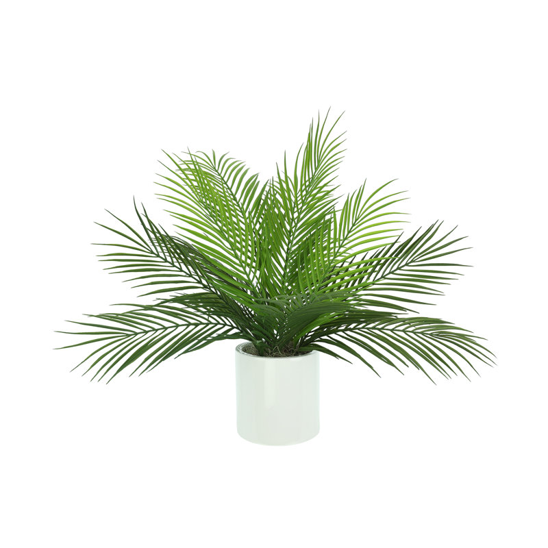 Outdoor UV Rated Palm in Fiberstone Pot