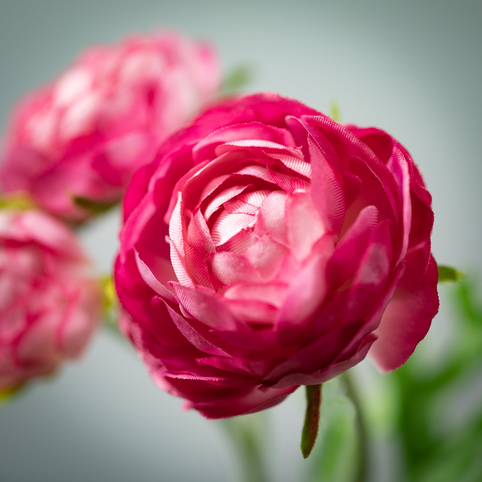 Vibrant Bloom 10.5" Lilac Ranunculus Spray, Purple, 10.5" H x 5" W x 1.5" D