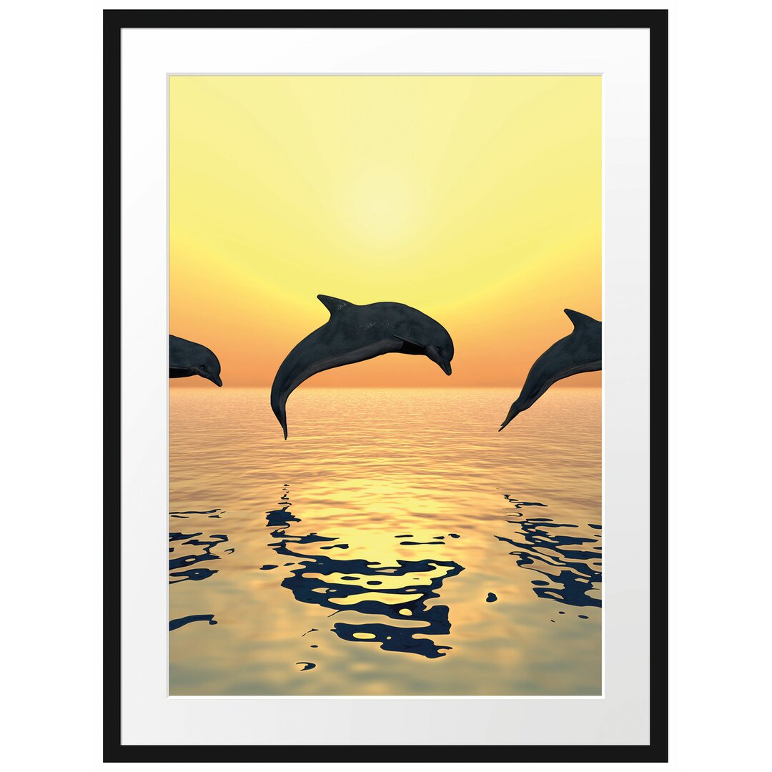 Gerahmter Fotodruck Jumping Dolphins