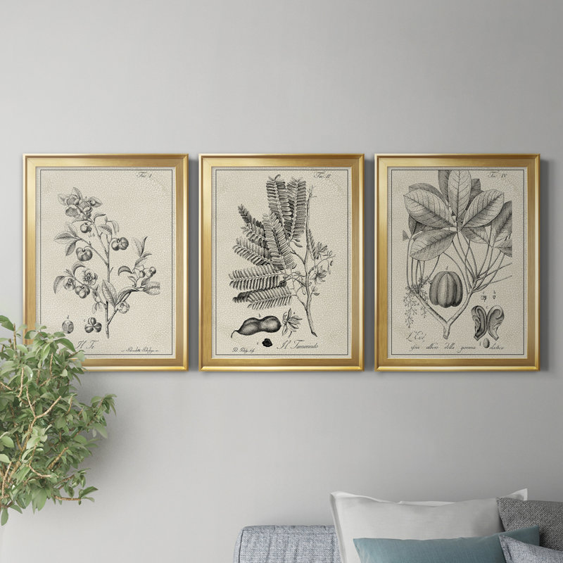 «Antique Black and White Botanical IV», ensemble de 3 peintures sur toile encadrées, H 26,5 po x l 109,5 po x P 1,5 po, Doré