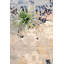 Abstract Area Rug in Beige