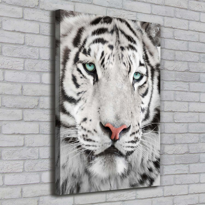 White Tiger - Wrapped Canvas Print