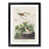 Black Framed selected