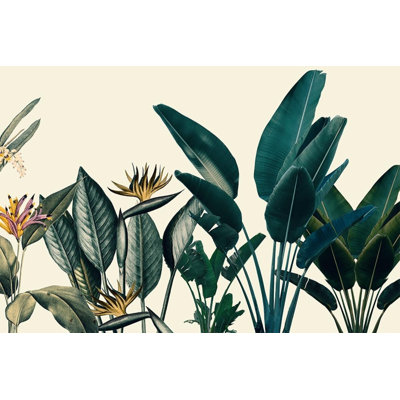 Tropical Bird of Paradise Leaves Cream Background Wall Mural for Home Decor