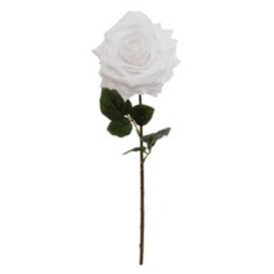 20" Open Rose Stem - 6 Pack