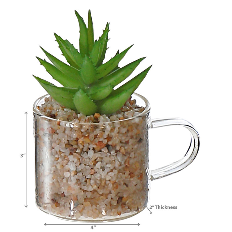 4'' Faux Cactus Plant in Glass Jar