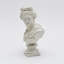 Greco-Roman Classical Bust Sculpture – Matte Resin Decorative Accent (30 cm) -88683536