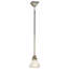 1 - Light Pendant