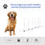 Ensemble d'obstacles pour chien Pawhut