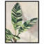Jolies plantes I - Impression sur toile-77343989-77343992