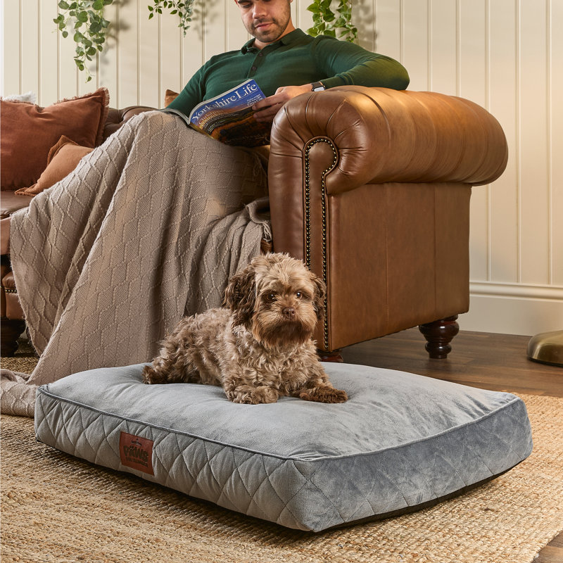 Slumberdown Paws for Slumber Raised Padded Dog Bed – Comfortable, Supportive & Durable Pet Bed for All Breeds, Grey