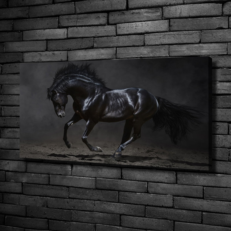 Black Horse - Wrapped Canvas Print