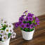 7 po Marguerite artificielle en pot blanc - ensemble de 3-277792313