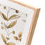 Picture Frame-1241343842