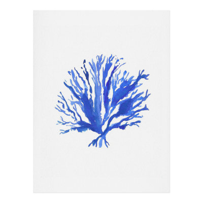 « sea corail », reproduction d’art