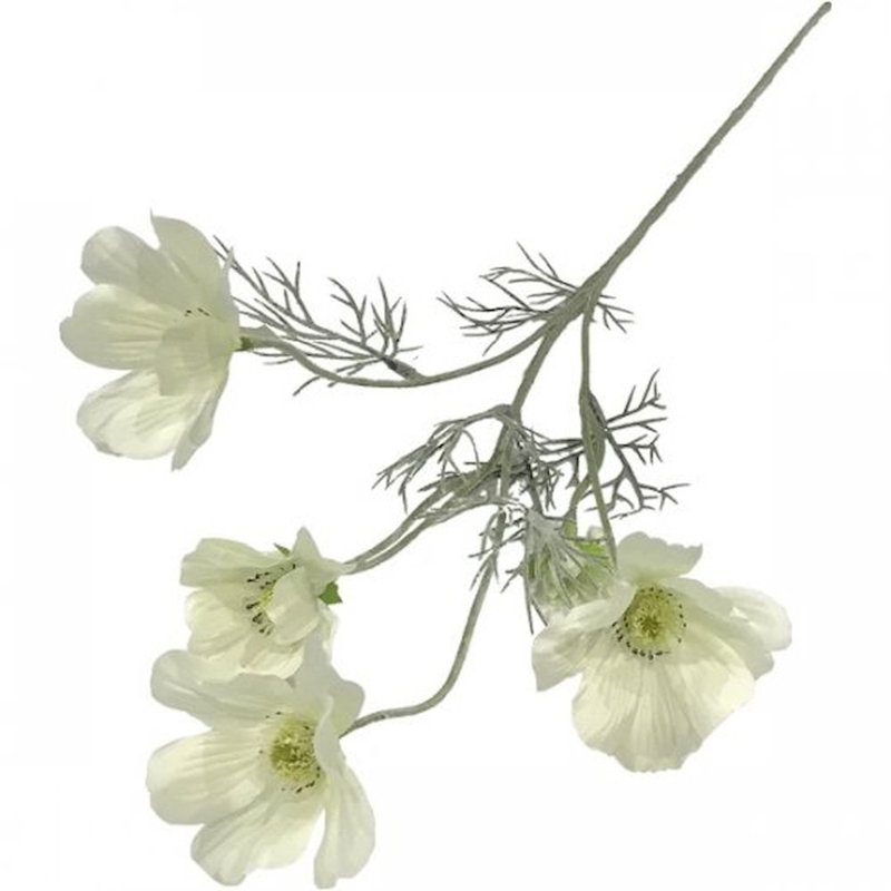 Jet chrysanthemum, Vert
