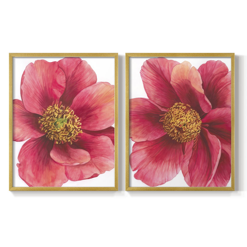 Pivoine arborescente I - impression encadrée de qualité supérieure - prête à être accrochée - aucun clou requis - aucun clou requis