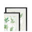 Fresh Herb - ensemble de 2 reproductions d'art sur papier encadré-28785842