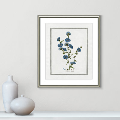 Colombe "Soft Botanical I" Print