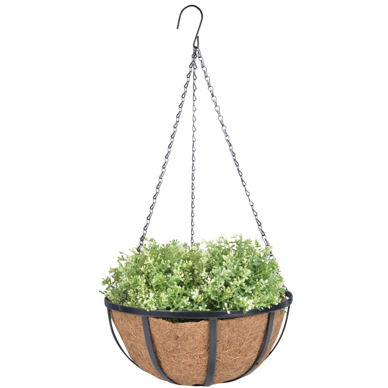 Ilia Metal Hanging Planter, 4.6" H x 10" W x 10" D