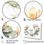 «Natures Lotus Lilly Pads I», reproduction sur toile-1628758684-1666539856