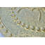 Decorative Tray