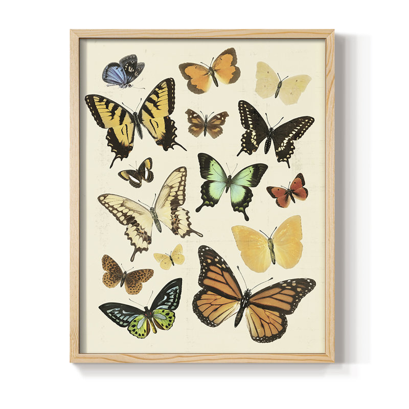 «Collection Flutter I», reproduction encadrée - bois massif, Naturel, H 21 po x l 17 po
