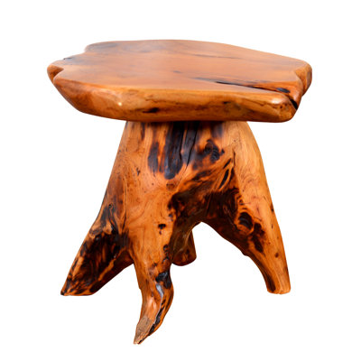 Adelie Tree Stump Natural Live Edge Stool