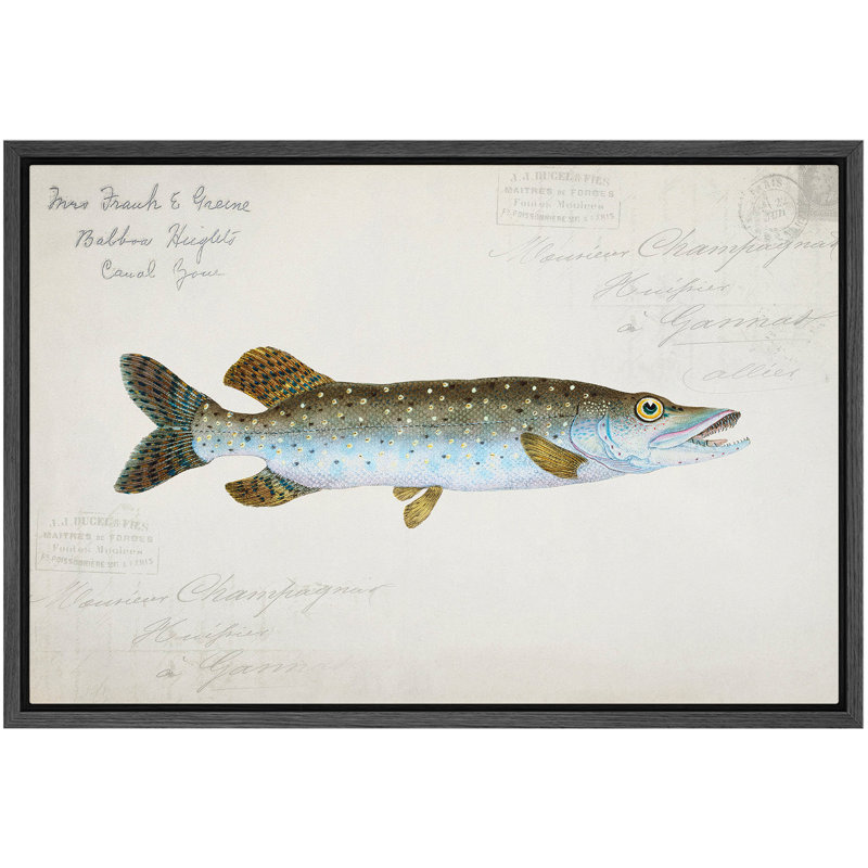 Illustration nautique de tacheté tacheté, photos de salon bord de mer, impression sur toile encadrée et giclée sur toile.