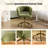 25.1 Inch Velvet Ring Backrest Swivel Office Chair-29914219