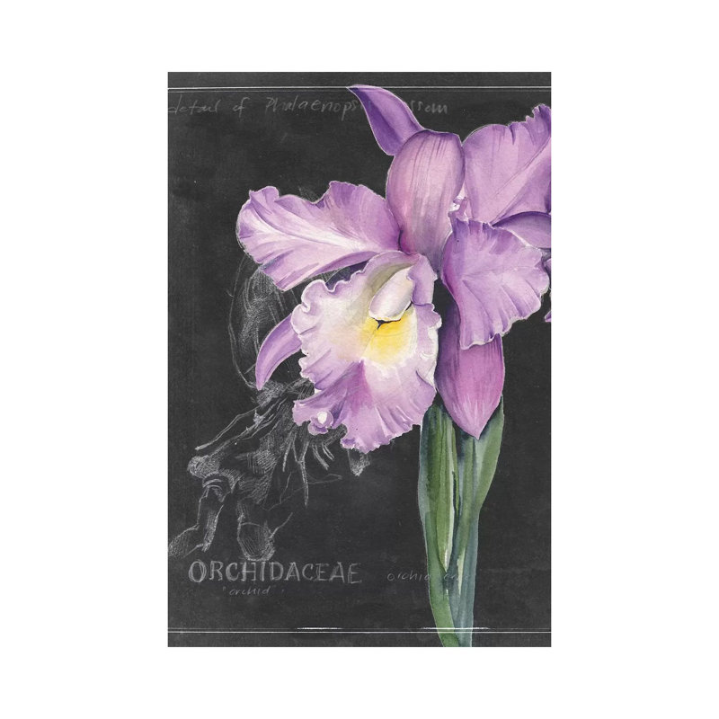Chalkboard Flower II 1 Piece Wrapped Canvas Painting, 66.04 cm H x 45.72 cm W x 1.91 cm D