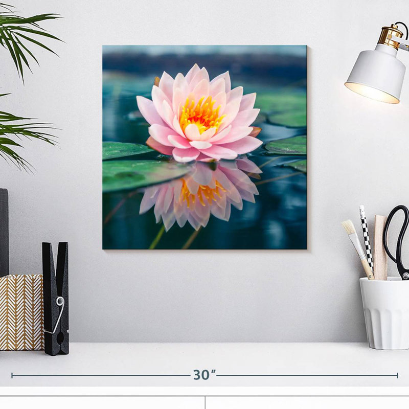 Harnek Dayspring Lotus
