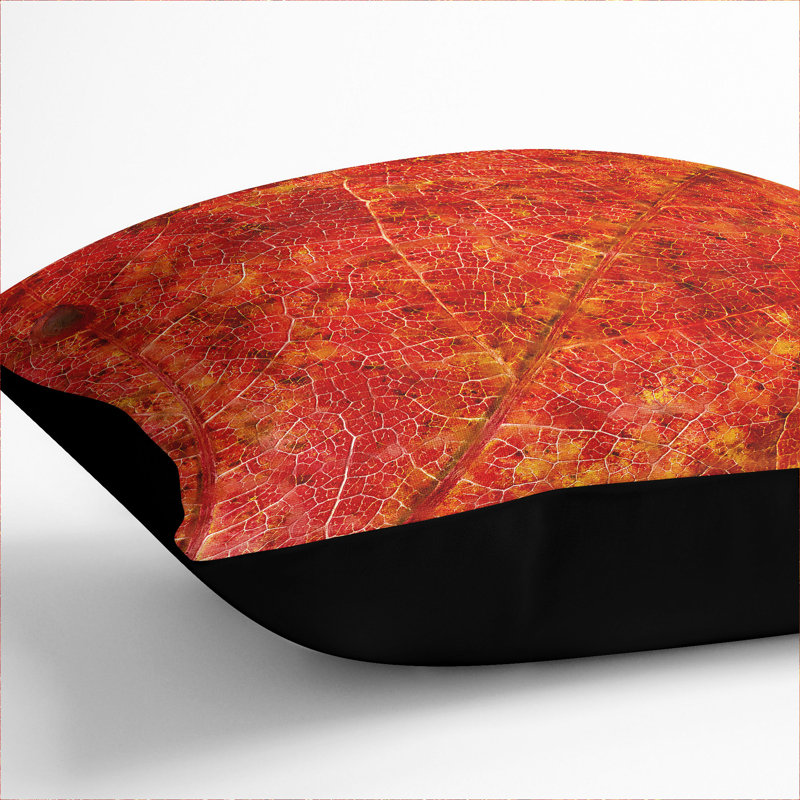 Autumn Leaf Vol.2 Painting Scatter Cushion, 40cm H x 40cm W x 15cm D, Black