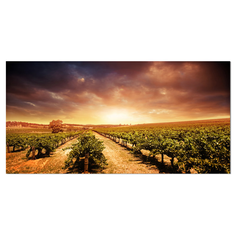 Stormy Sunset Vineyard Landscape Canvas Art, 32" x 16"