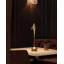 Traipse Standard Table Lamp-2134356286