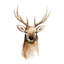 Art sur toile tendue Millwood Pines Popp, Grace, aquarelle-384563632