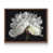 Noyer