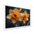 White Single Picture Framed