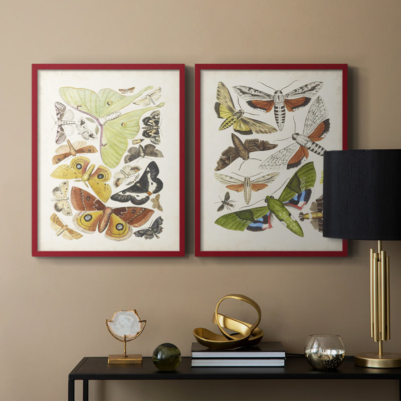 Antique Moths I - impression encadrée de qualité supérieure - prête à être accrochée - aucun clou requis - aucun clou requis