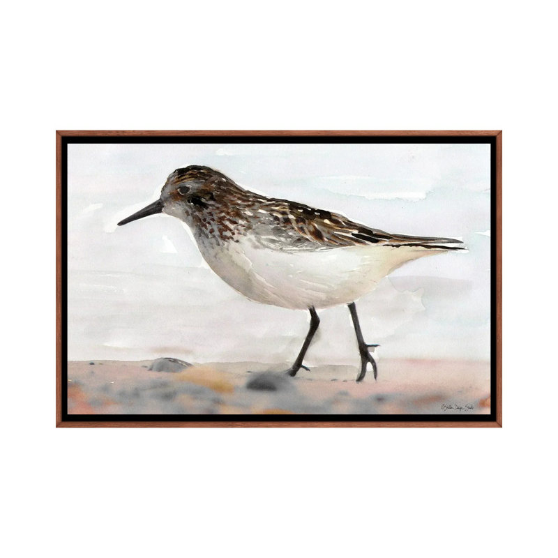 Sandpiper II by Stellar Design Studio - Painting on Canvas, 66.04 cm H x 45.72 cm W, Brown Floater Frame