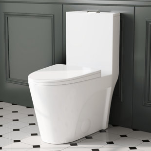 Ace 1.6 GPF Dual-Flush Elongated One-Piece Toilet, Modern Floor-Mounted Toilet With Soft-Close Seat